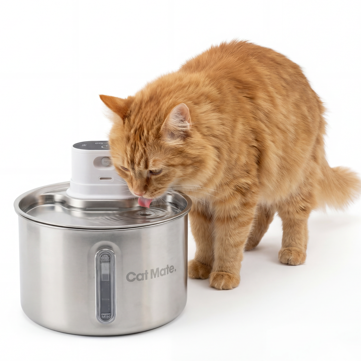 Cat Mate 2.2 Litre Stainless Steel Cordless Cat Water Fountain