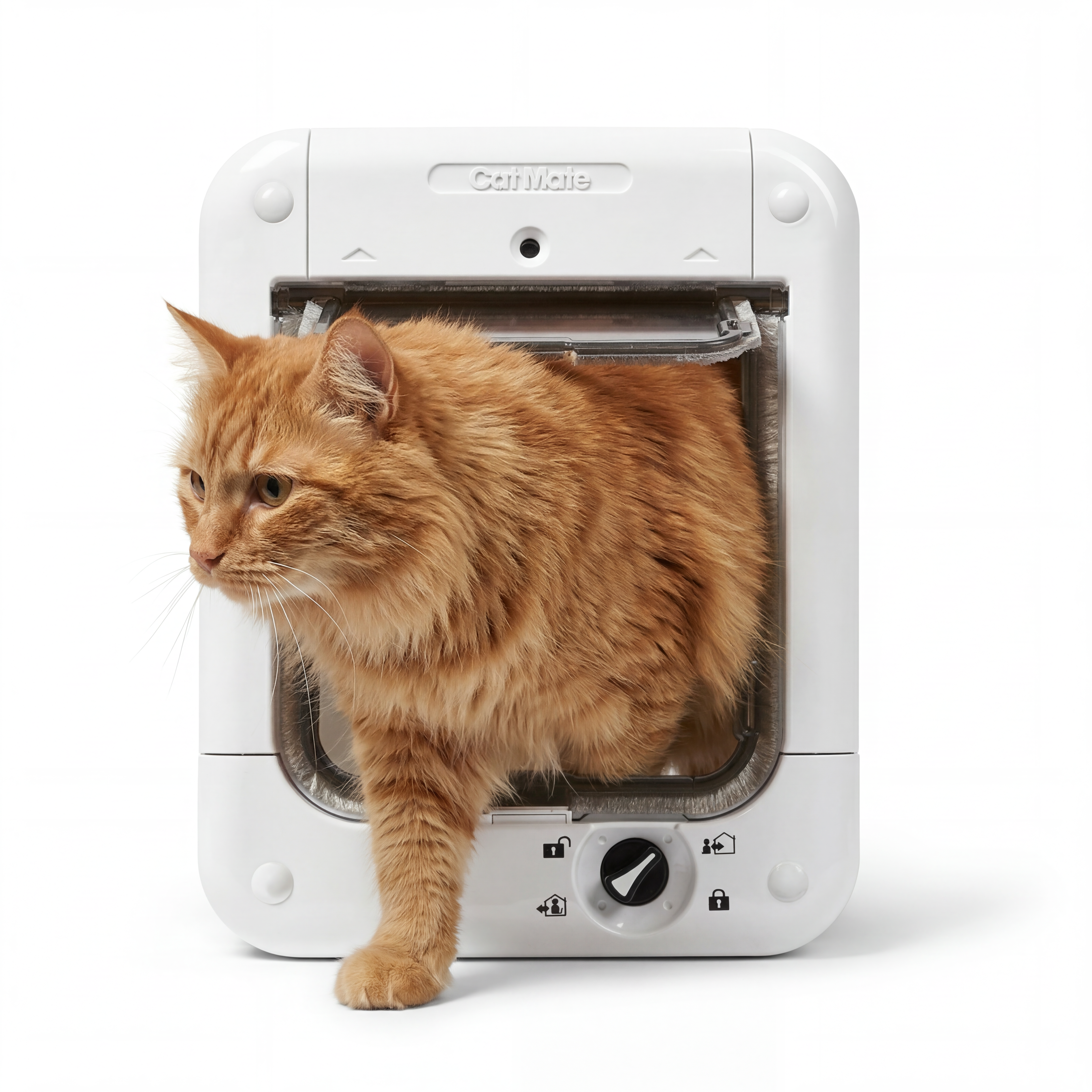 Microchip Cat Flap (360)