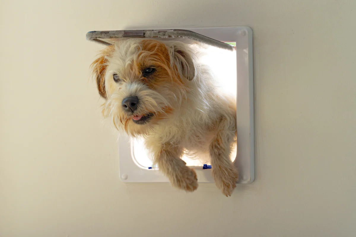 Cat Mate Large Cat Flap - For Large Cats and Small Dogs (221)