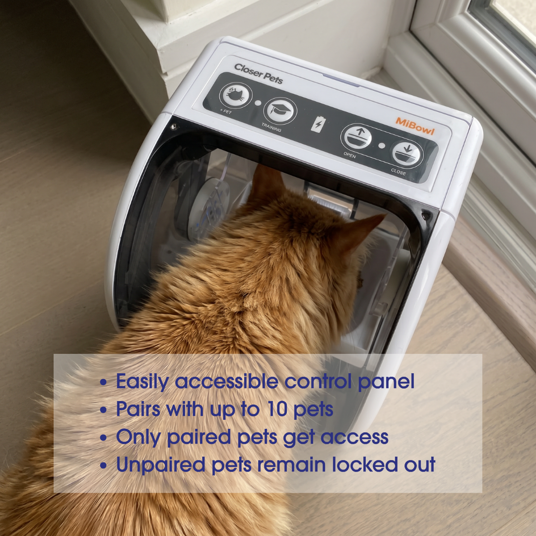 MiBowl Automatic Microchip Pet Feeder CP500