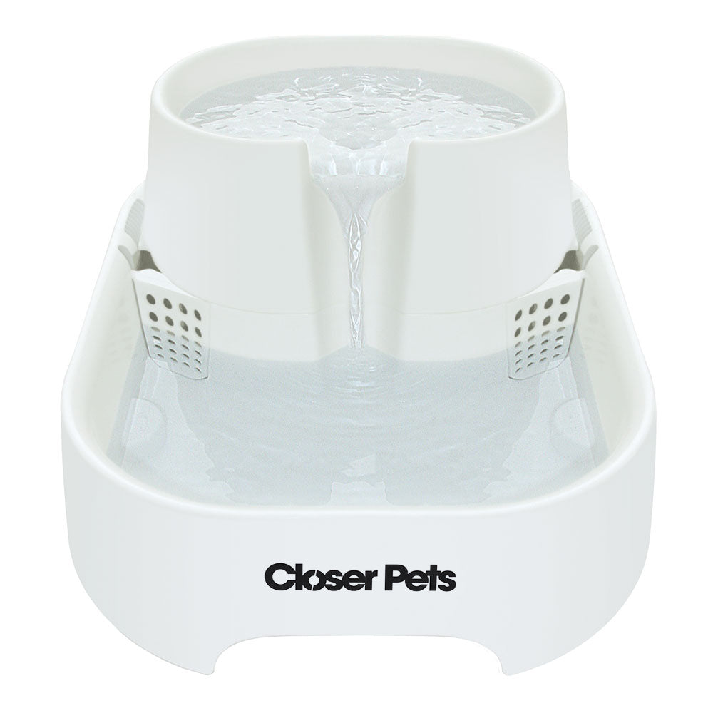 Pets at home outlet water fountain