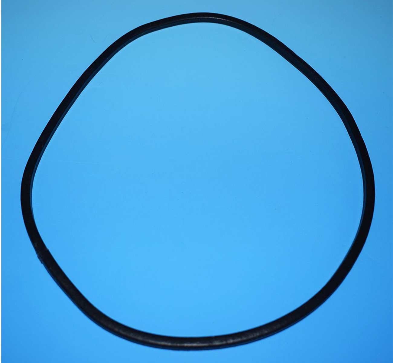 Electrical Lid Gasket: 6000/9000 PUV Pond Filter (GK2)