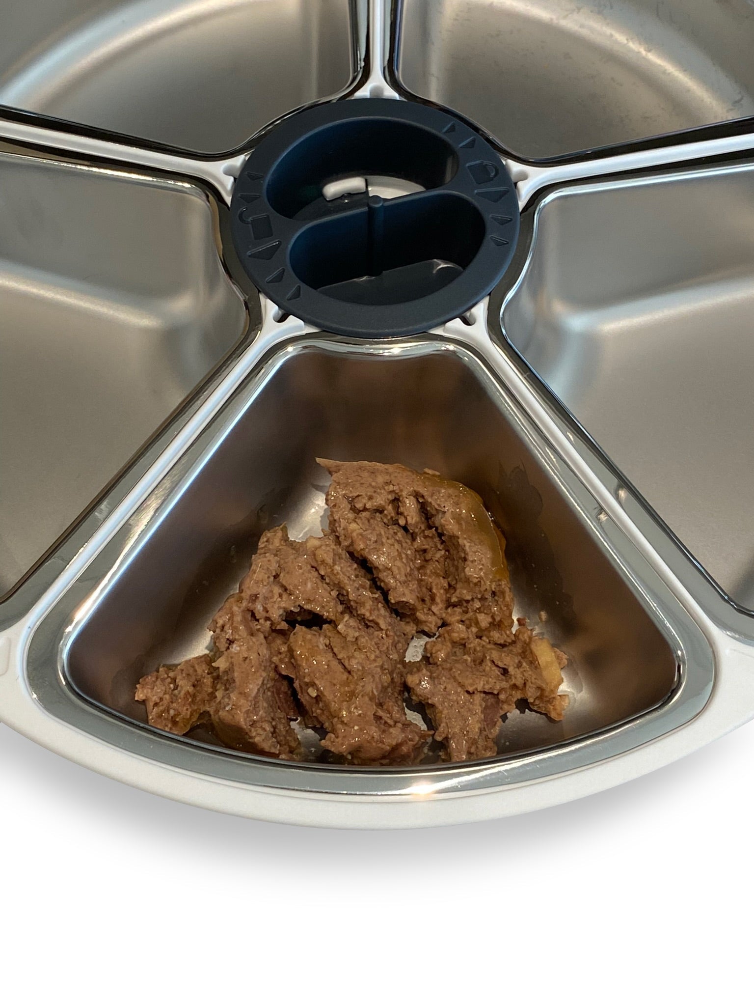 A portion of wet pet food is displayed in one of the stainless steel dishes, while the other four remain empty, displayed on a white background