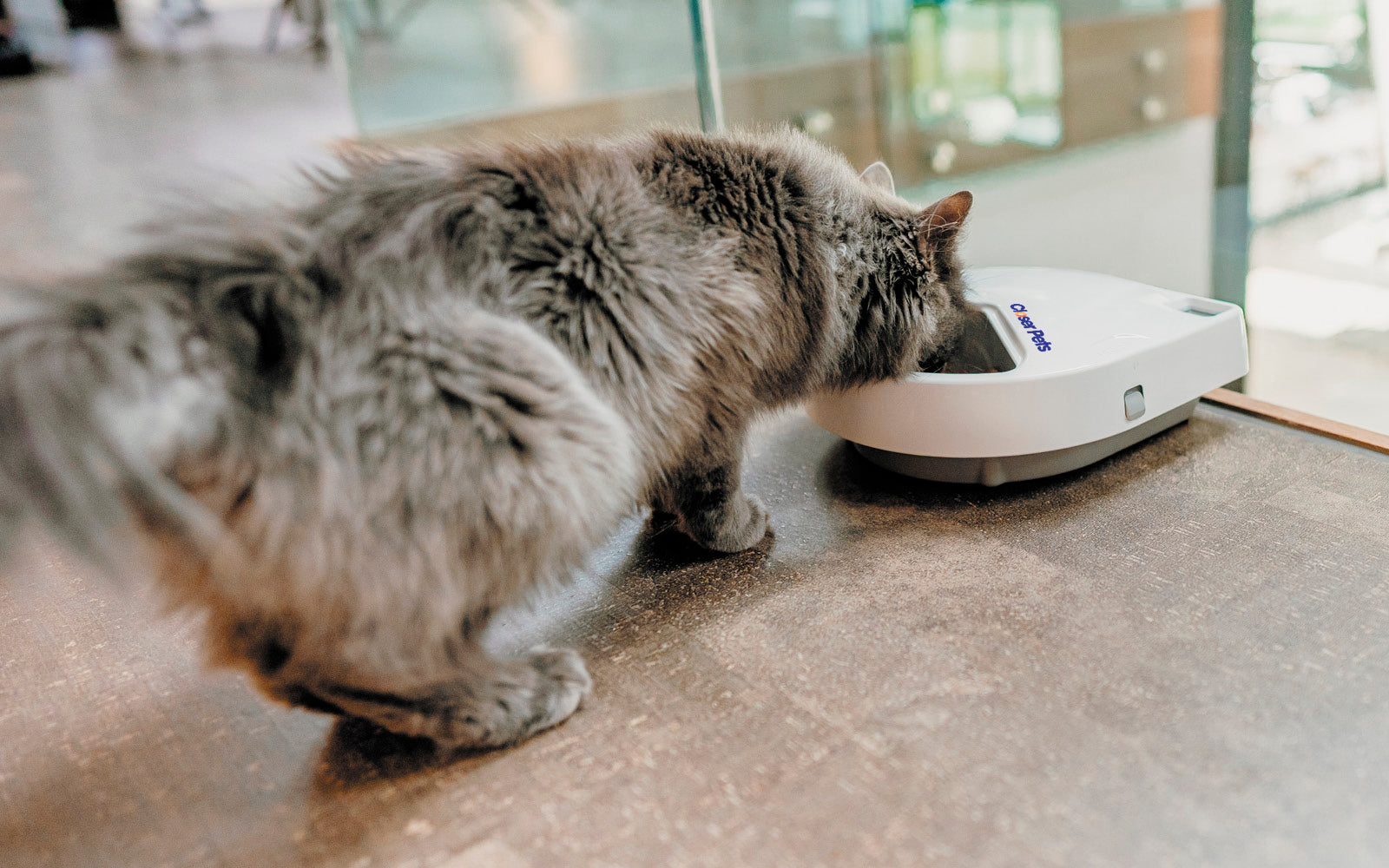 Three-meal Automatic Pet Feeder with Digital Timer (C300)