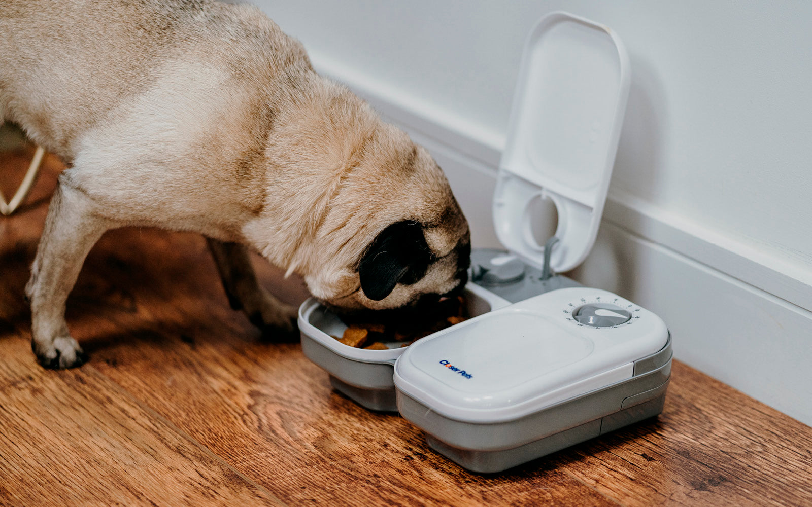 Two-meal Automatic Pet Feeder (C200)