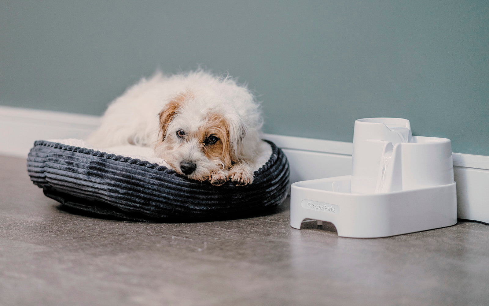 Three-level 70 Fl. Oz. Pet Fountain – White (CP335)