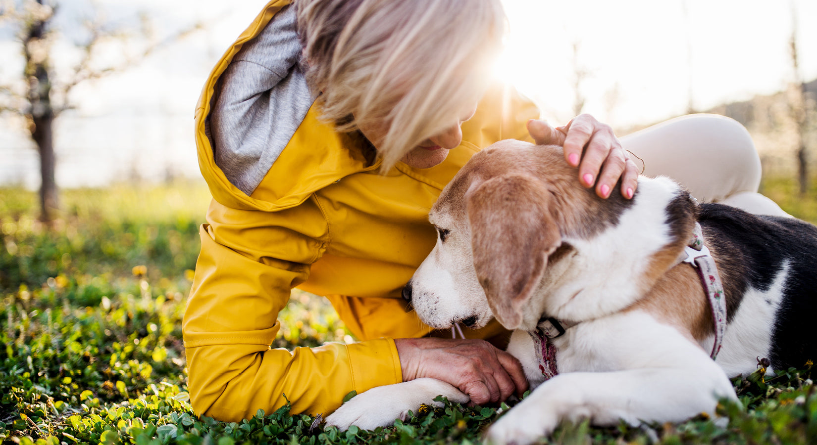 How to prepare your pet for spring socialising