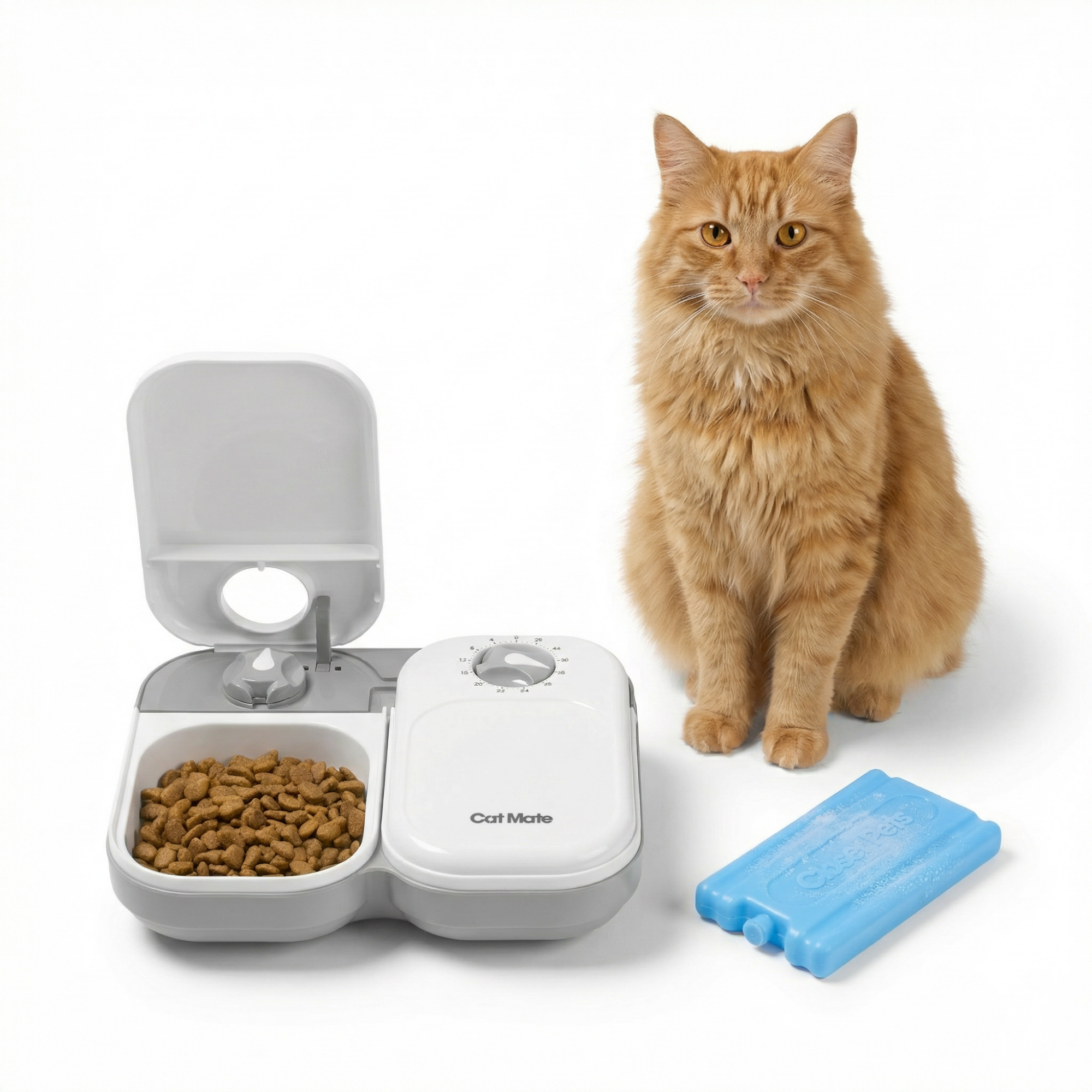 Two-meal Automatic Pet Feeder C200