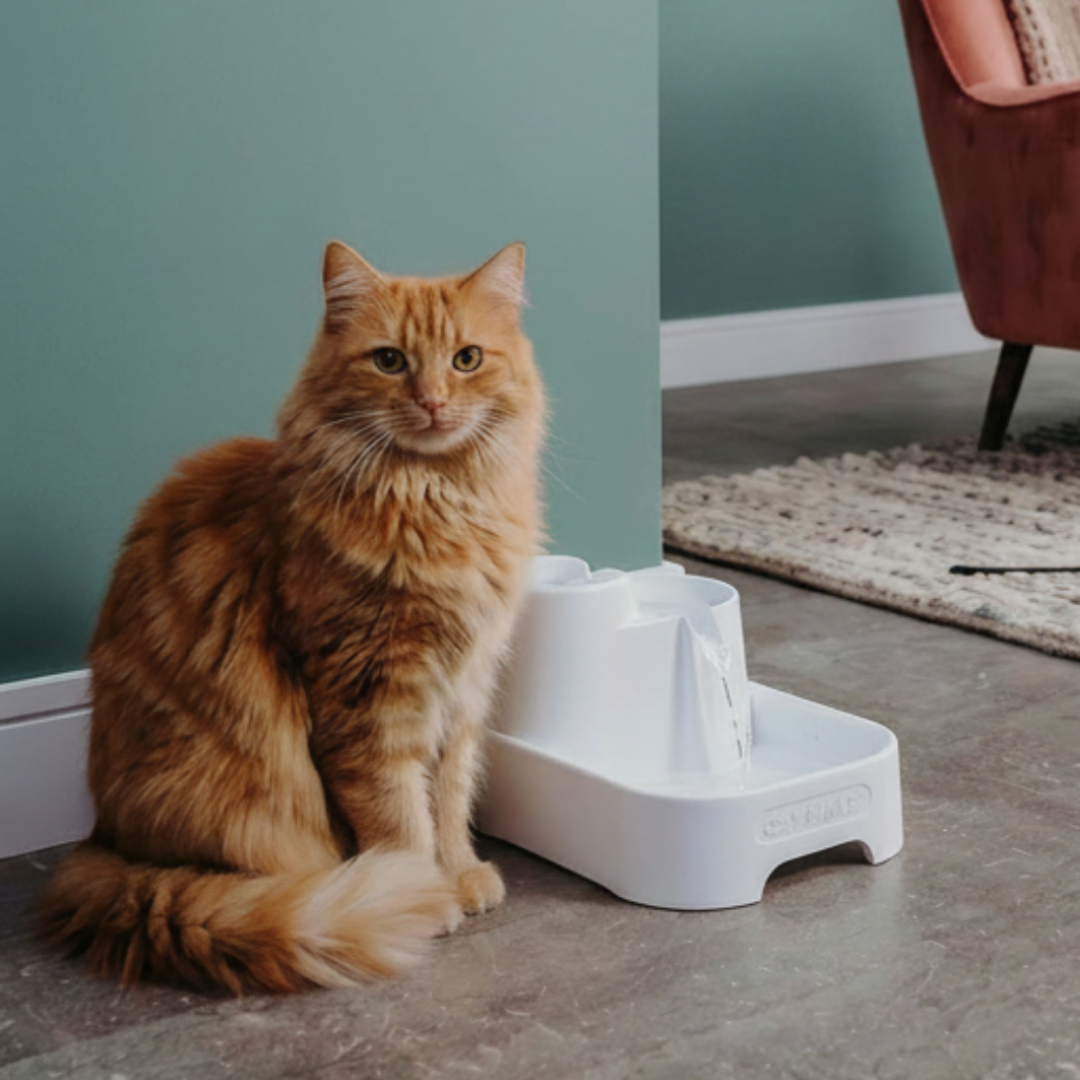 Cat Mate 3-Level Pet Fountain - BPA and BHT Free with Filter