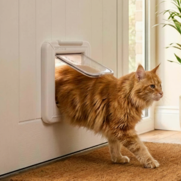 Elite Microchip Cat Flap with Timer Control White 355W