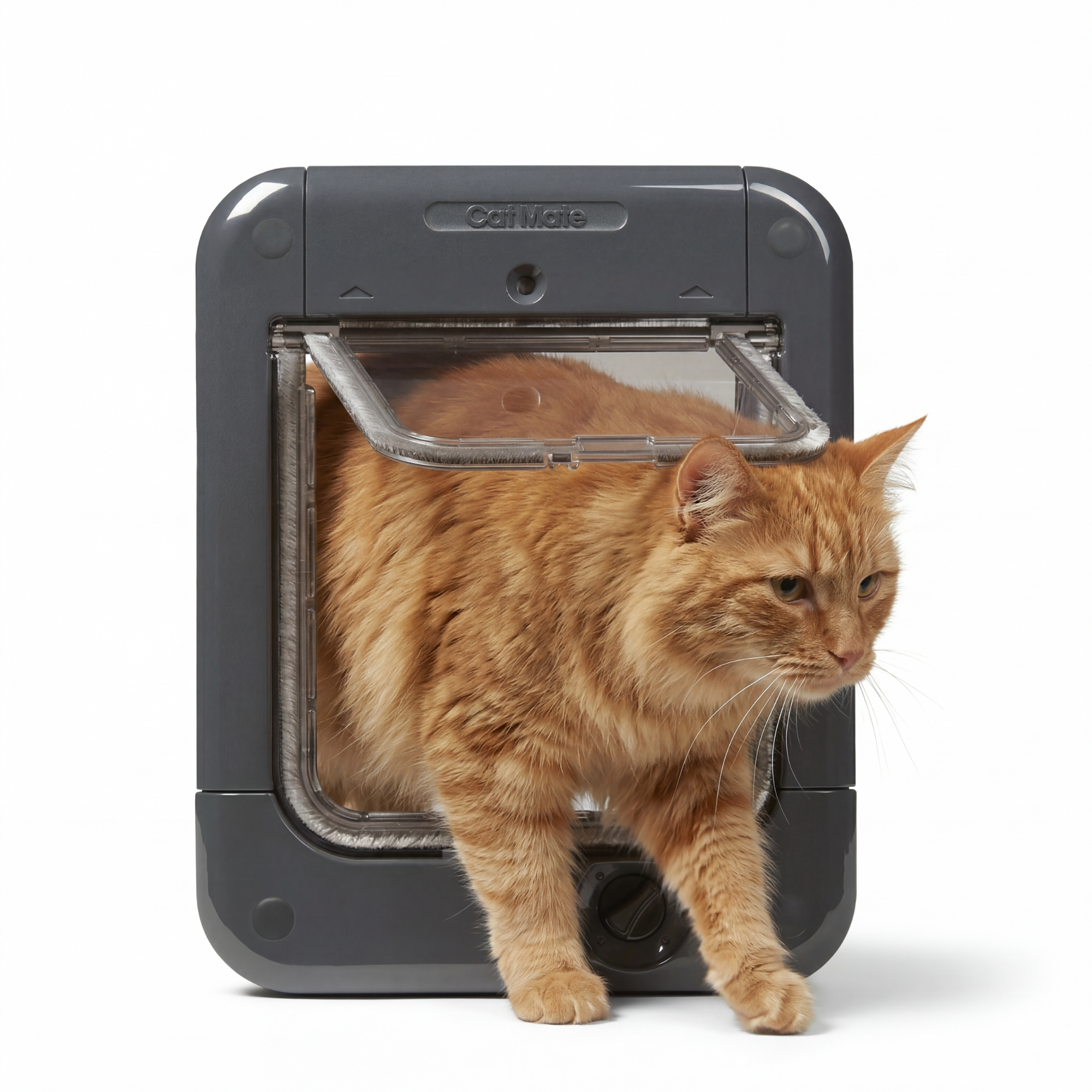 Microchip Cat Flap (360)