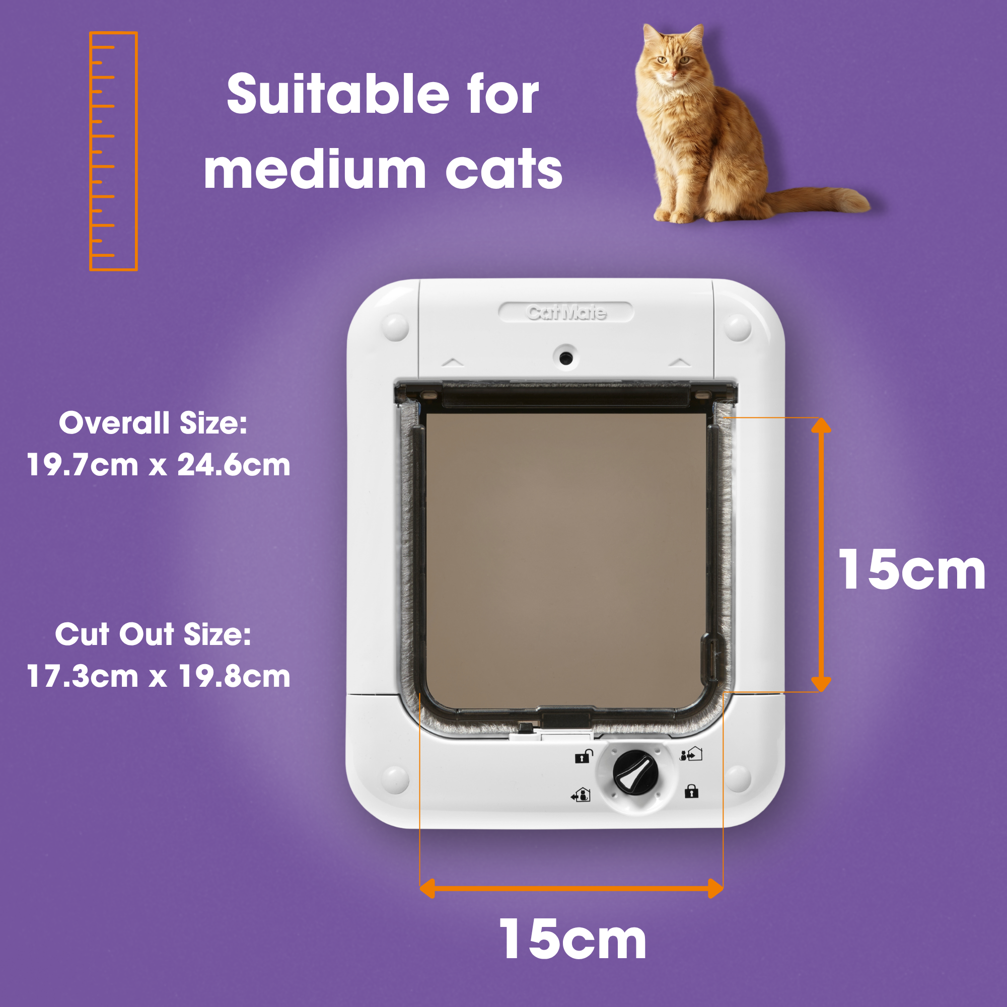 Microchip Cat Flap (360)