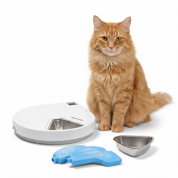 Closer Pets Five-Meal Automatic Pet Feeder with Stainless Steel