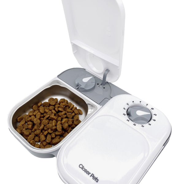 Automatic dog outlet feeder machine