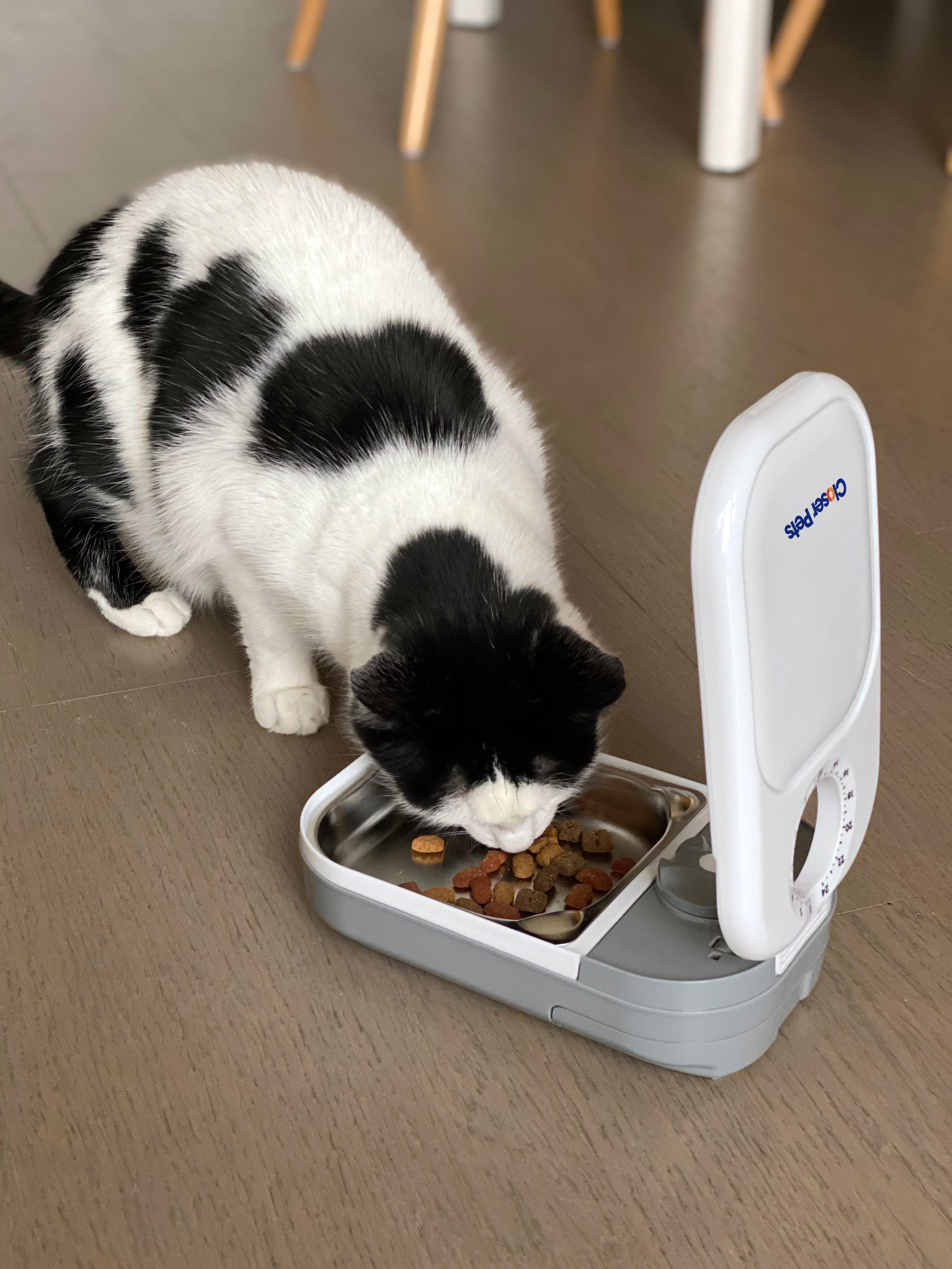 One-Meal Automatic Pet Feeder with Stainless Steel Bowl Inserts (C100)