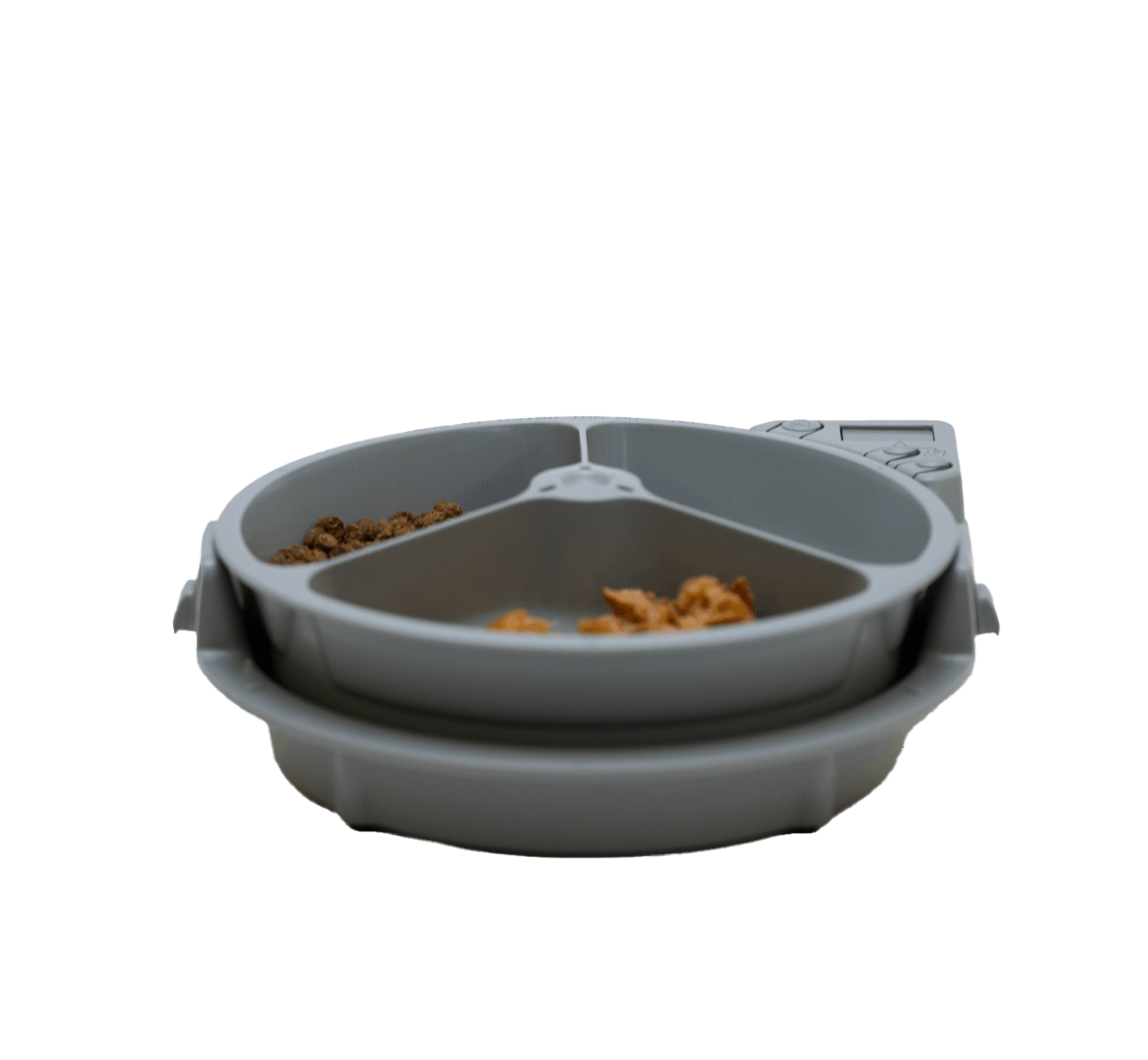 Timer food bowl for cats best sale